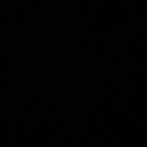 Meet your Posher, Daisi